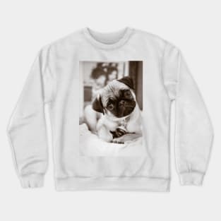 Super Girl Fawn Pug Puppy Black and White Crewneck Sweatshirt